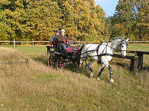 Die Sparte "Fahren" entwickelt sich auch langsam :-)